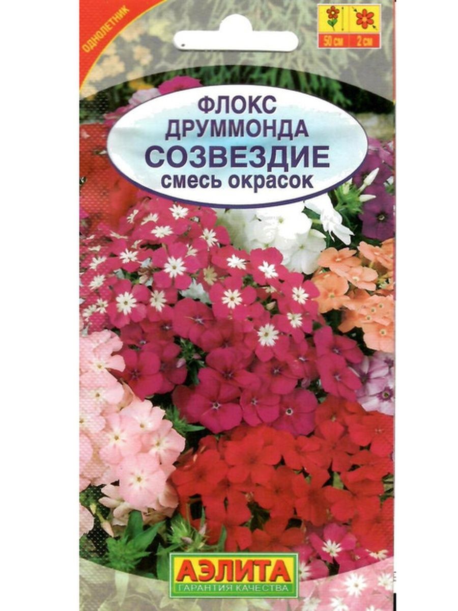 Флокс друммонда смесь сортов. Флокс друммонда звездопад смесь. Флокс друммонда Созвездие. Флокс Созвездие смесь сортов. Флокс друммонда мгновение красоты.