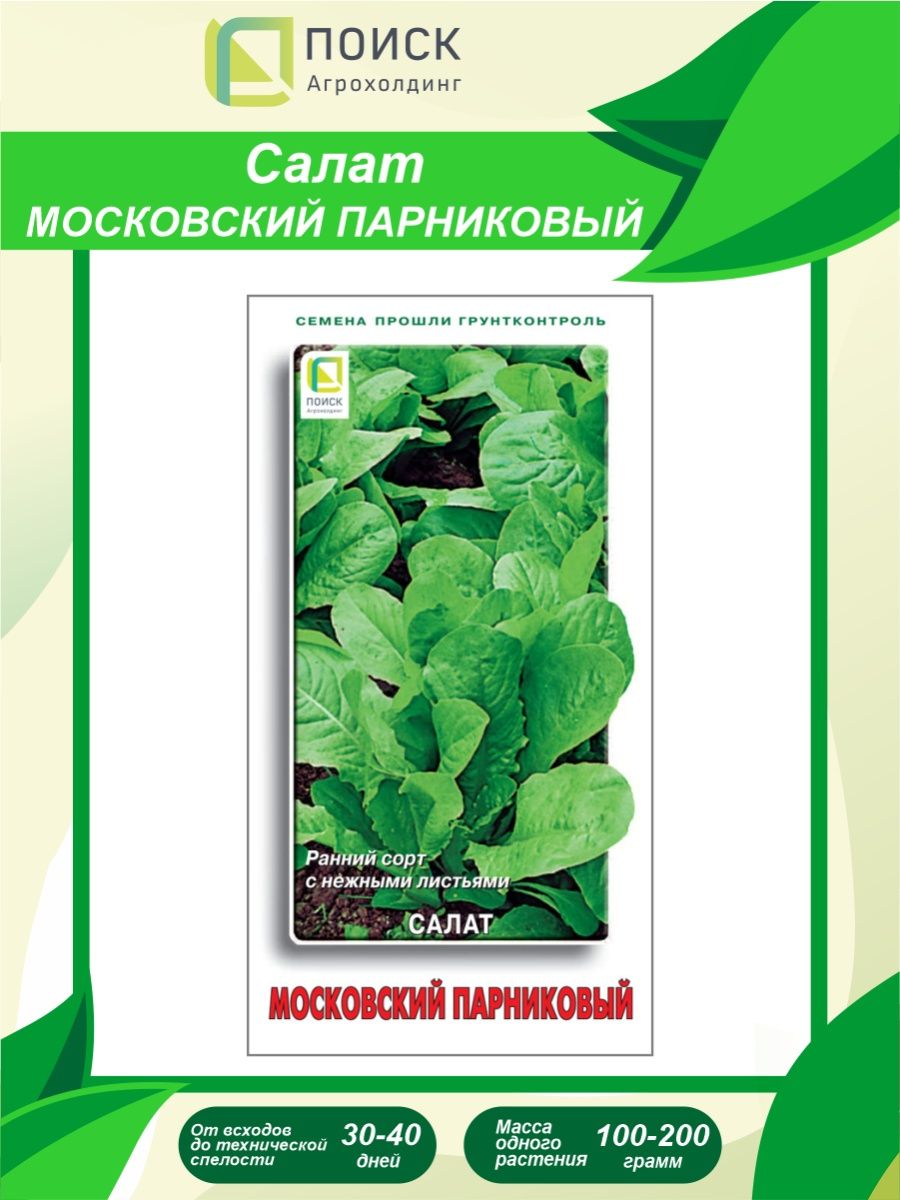 Сорт салата московский парниковый. Салат Московский парниковый. Салат Московский семена. Салат Московский парниковый описание сорта.