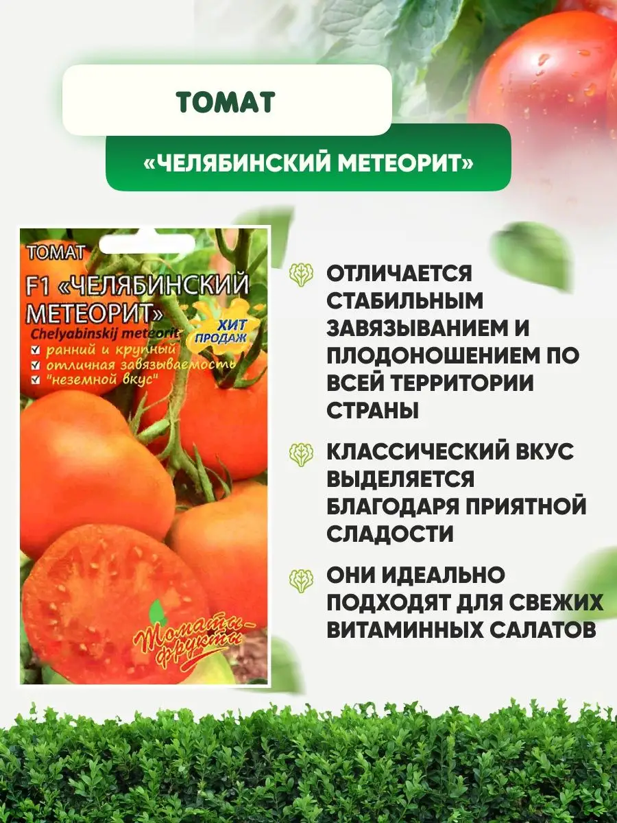 Томат сорта челябинский метеорит. Томат челябинский метеорит характеристика. томат челябинский метеорит. томат челябинский.