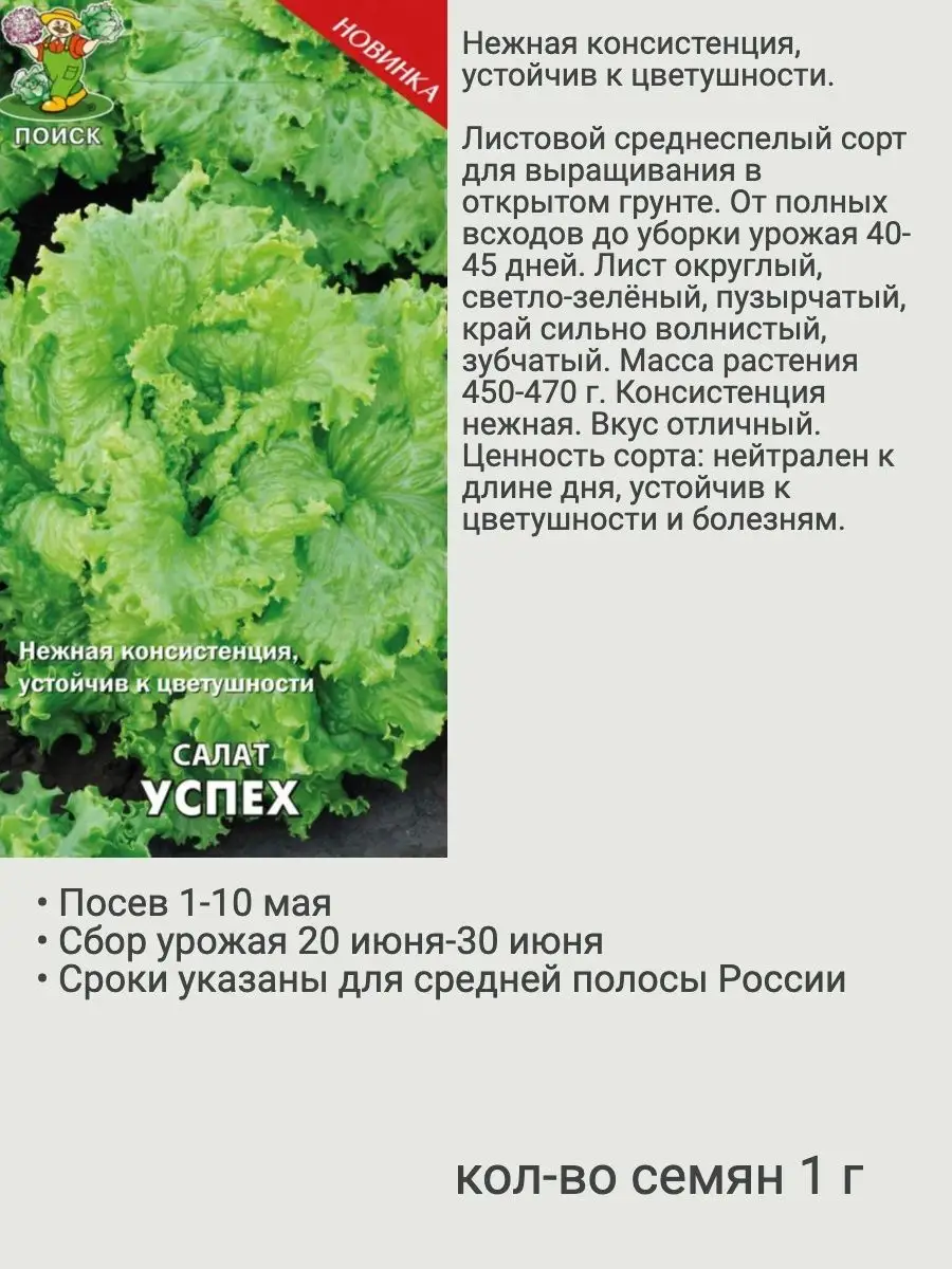 Семена зелени 6 Агрохолдинг Поиск 142807126 купить за 243 ₽ в  интернет-магазине Wildberries