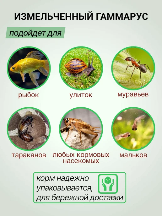 Futter Гаммарус измельченный для рыб 500 г, 500 г, фото 3