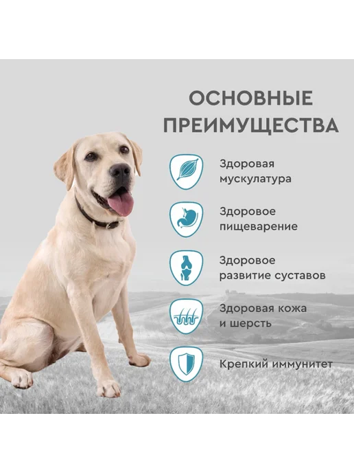 Сухой корм SECRET для собак, крупные, курица, 15 кг, фото 3