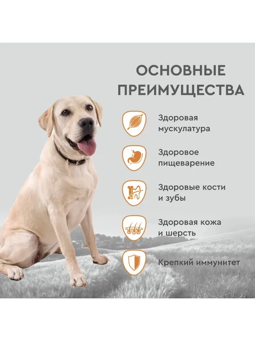 Сухой корм SECRET для собак, говядина, 15 кг, фото 4