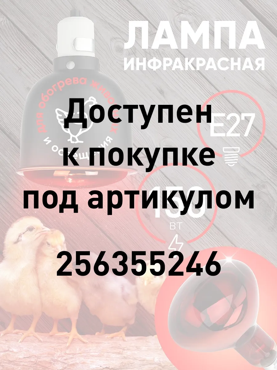 Инфракрасная лампа для курятника обогрева птиц Е27 150Вт Эра 143011272  купить в интернет-магазине Wildberries