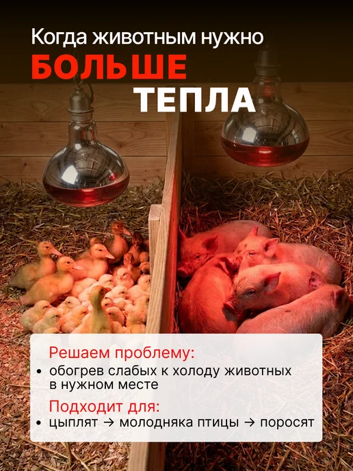 Magic Light Инфракрасная лампа для обогрева птиц и животных 250вт, 250 Вт, фото 2