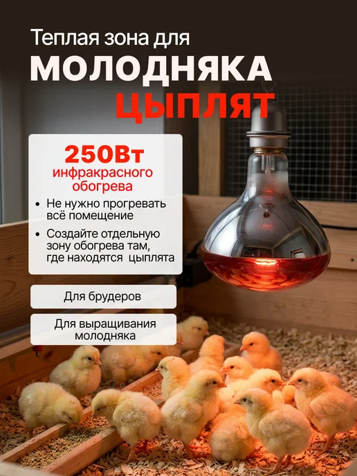 Magic Light Инфракрасная лампа для обогрева птиц и животных 250вт, 250 Вт, фото 3