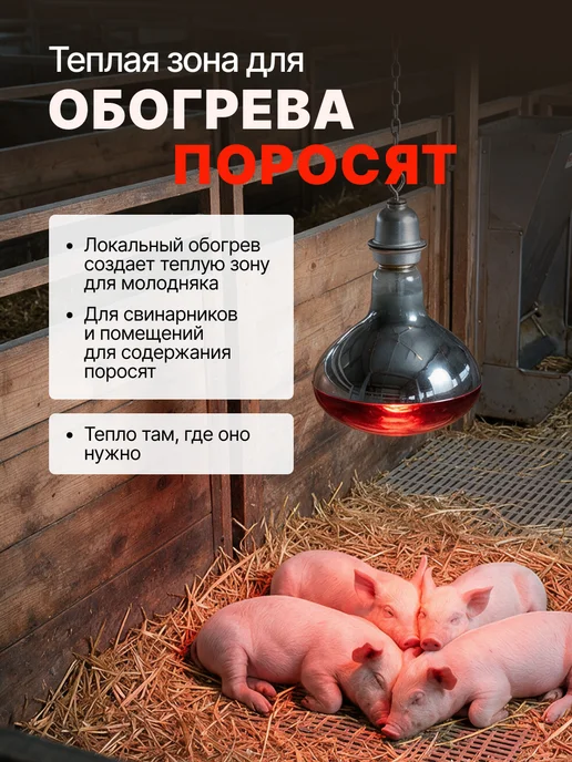 Magic Light Инфракрасная лампа для обогрева птиц и животных 250вт, 250 Вт, фото 4