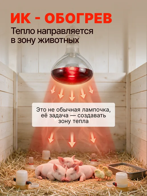 Magic Light Инфракрасная лампа для обогрева птиц и животных 250вт, 250 Вт, фото 5