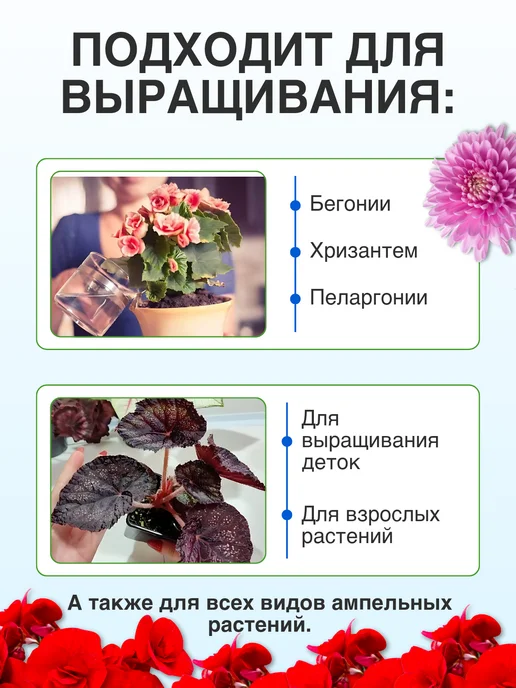 Ecolike Удобрение для герани, бегонии, цикламена и хризантемы, вариант, фото 2