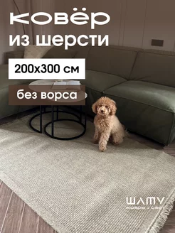 Ковер на пол безворсовый палас 200 на 300 Шату 143060898 купить за 23 869 ₽ в интернет-магазине Wildberries