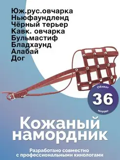 Намордник кожаный для собак Аркон 143063059 купить за 659 ₽ в интернет-магазине Wildberries