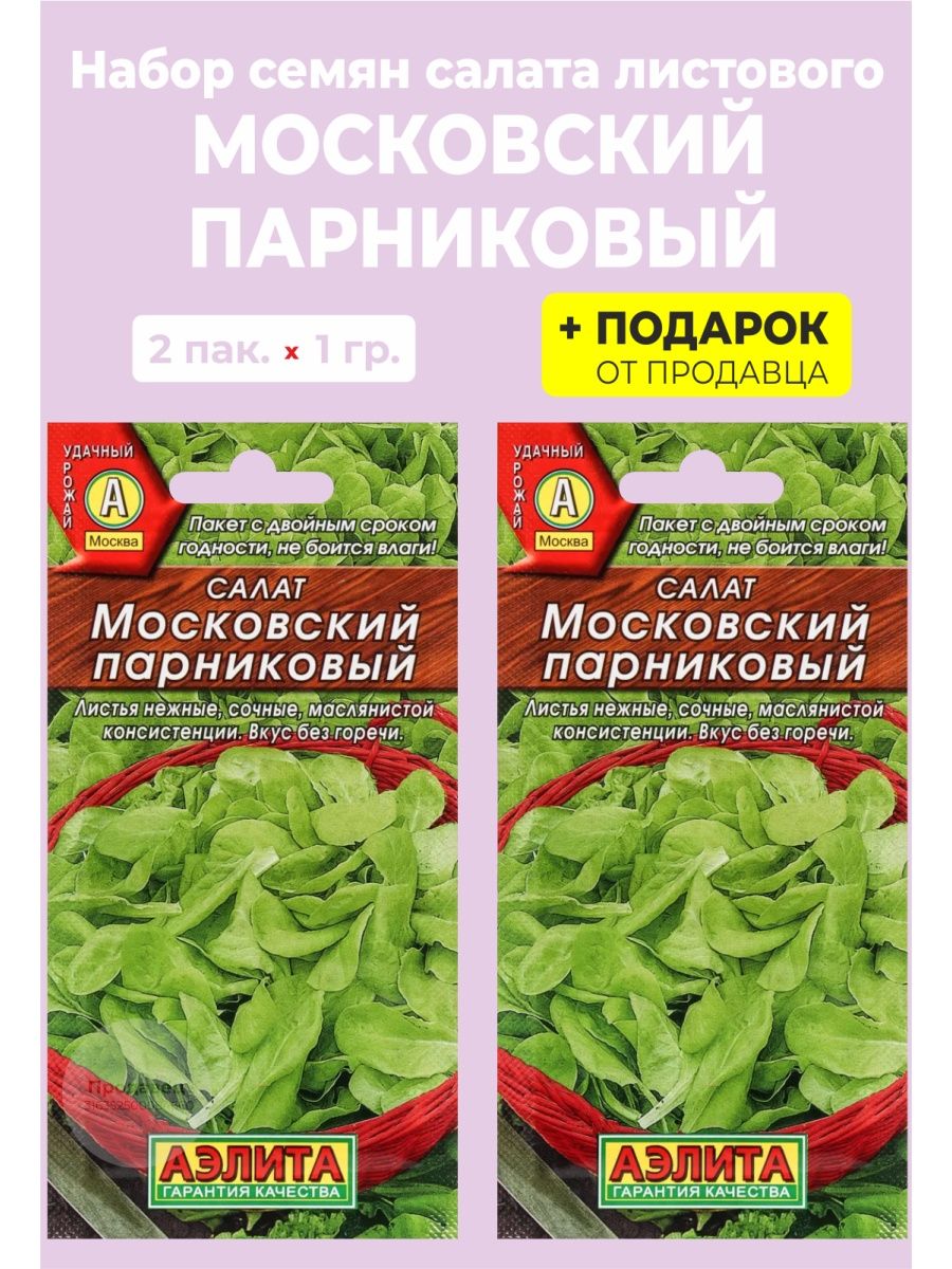 Салат московский парниковый описание. Салат Московский парниковый. Сорт салата Московский парниковый. Салат листовой Московский. Салат Московский семена.