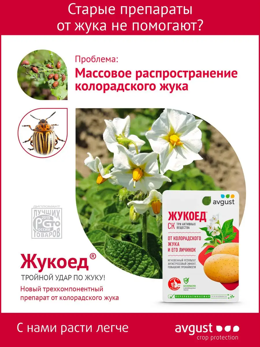 Средство, отрава от колорадского жука Жукоед, 1 шт - 9 мл AVGUST 143096971  купить за 200 ₽ в интернет-магазине Wildberries
