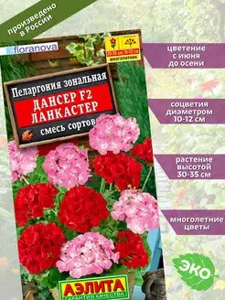 Пеларгония Дансер F2 Ланкастер смесь Агрофирма Аэлита 143106178 купить за 137 ₽ в интернет-магазине Wildberries