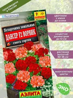 Пеларгония Дансер F2 Ворвик смесь Агрофирма Аэлита 143106181 купить за 137 ₽ в интернет-магазине Wildberries