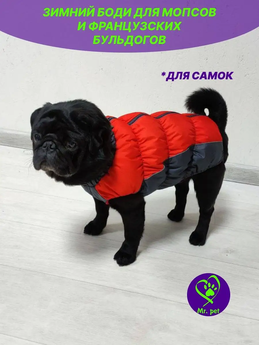 Теплая одежда для собак своими руками - ростовсэс.рф