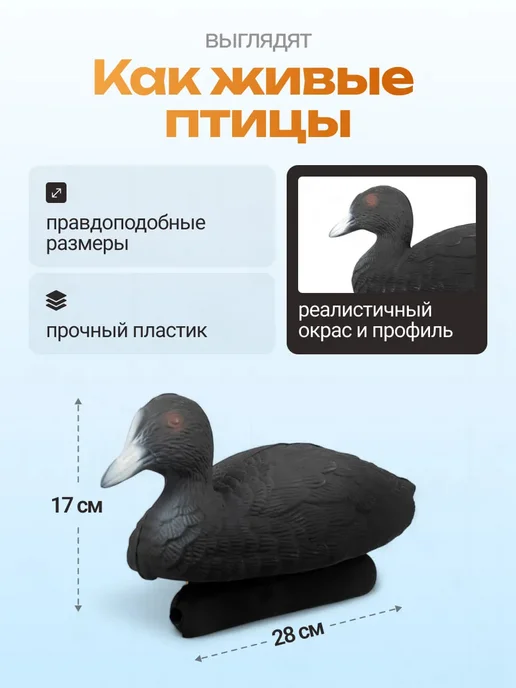 Дикий Гид Чучело для охоты на птицу подсадная утка лысуха, Чучело на птицу лысуха, фото 2