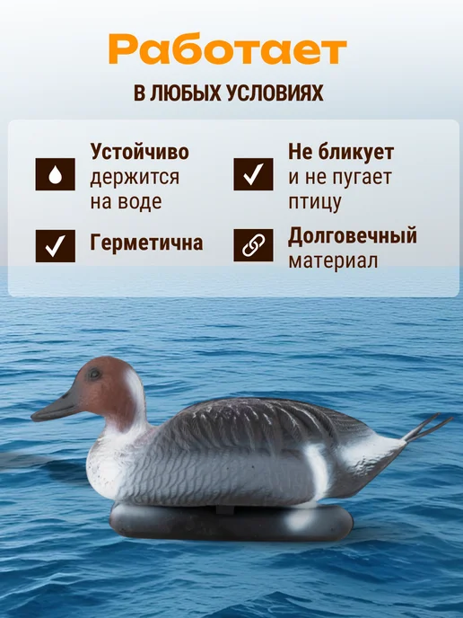 Дикий Гид Чучело для охоты на птицу подсадная утка лысуха, Чучела шилохвость, фото 2