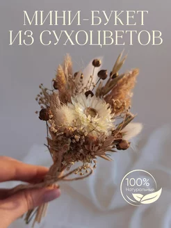 Букет из сухоцветов Little Garden 143175391 купить за 331 ₽ в интернет-магазине Wildberries