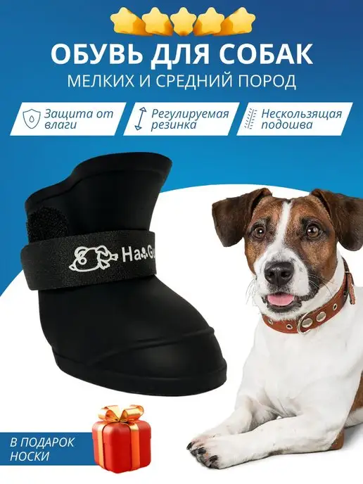 Купить одежду для собак мелких пород в интернет магазине prachka-mira.ru