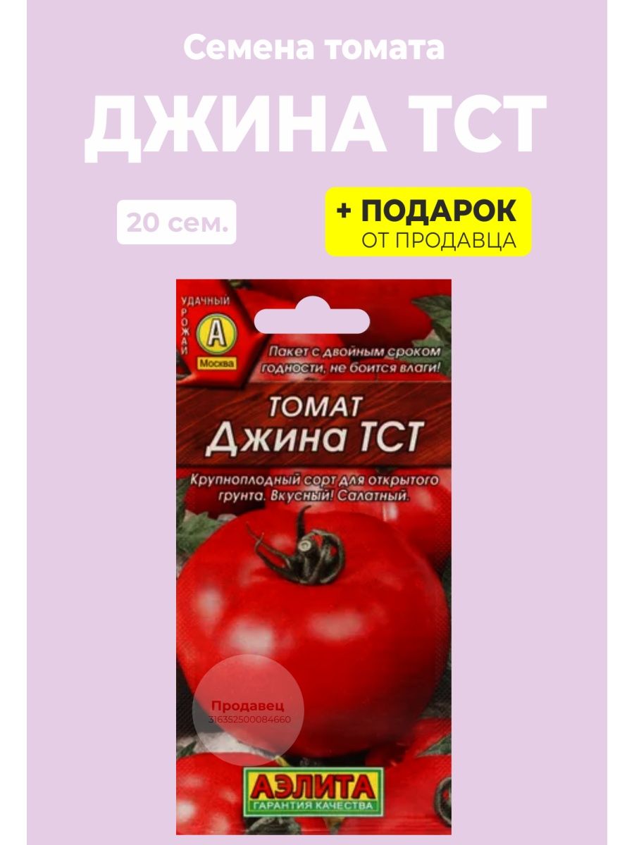 Схема посадки томата джина