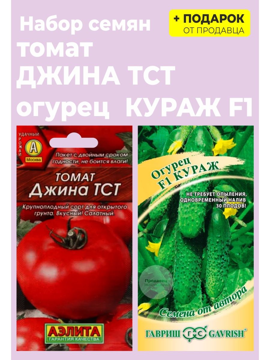 Помидоры джина тст. Томат Джина ТСТ. Семена томат Джина. Семена помидор Джина. Томат Джина характеристика.