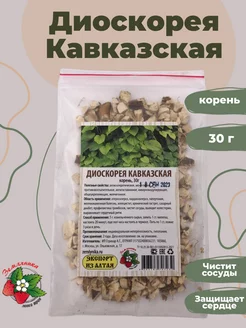 Диоскорея кавказская Магазин трав Земляника 143237829 купить за 222 ₽ в интернет-магазине Wildberries