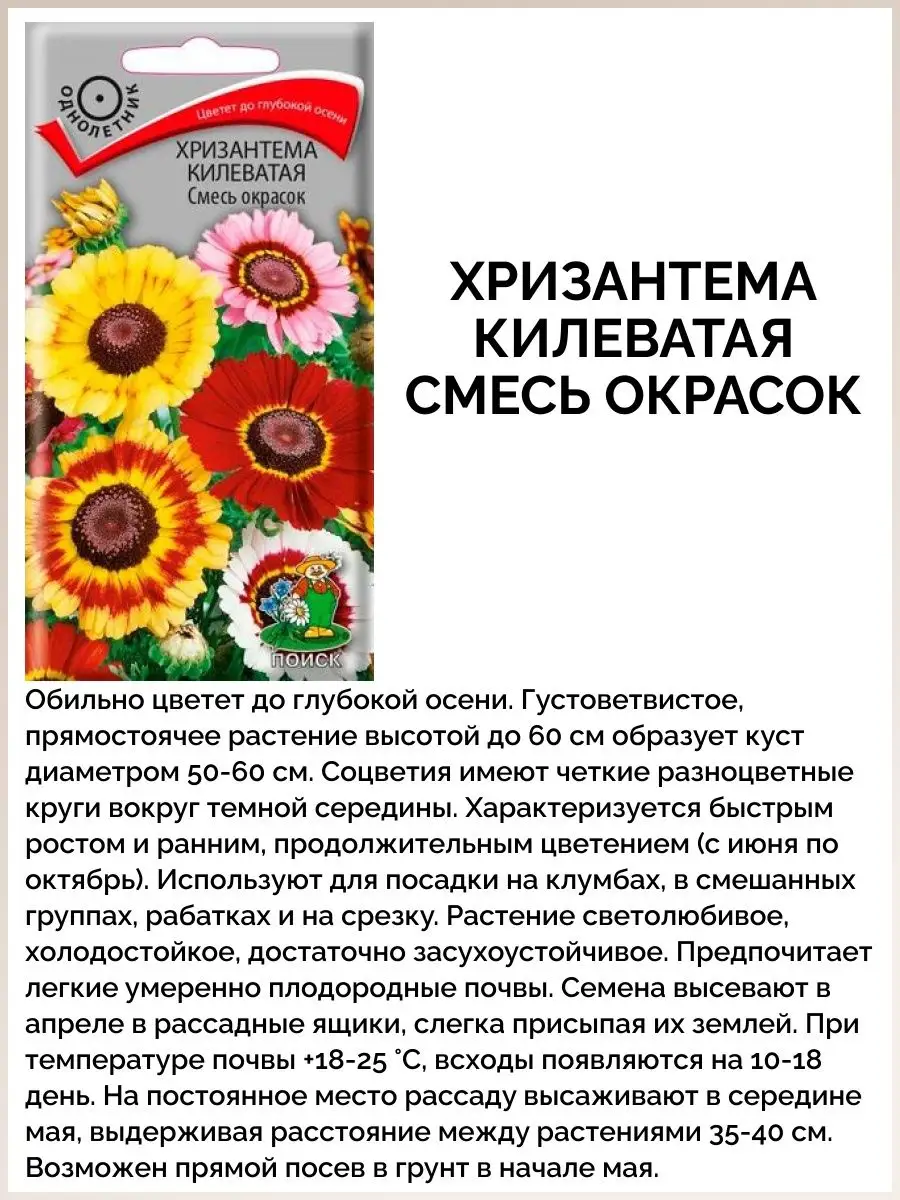 Семена цветов / Набор Хризантемы / Набор 6 упаковок ПОИСК 143330330 купить  в интернет-магазине Wildberries