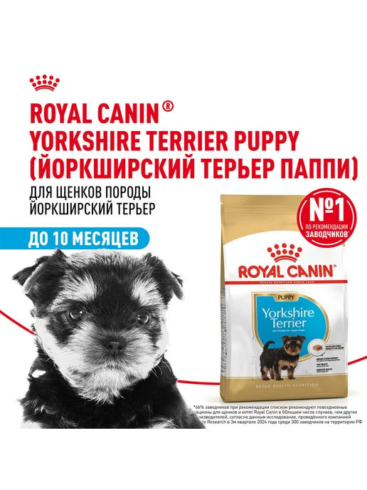 Сухой корм Royal canin Yorkshire Terrier для собак, щенки, 0,5 кг, фото 2