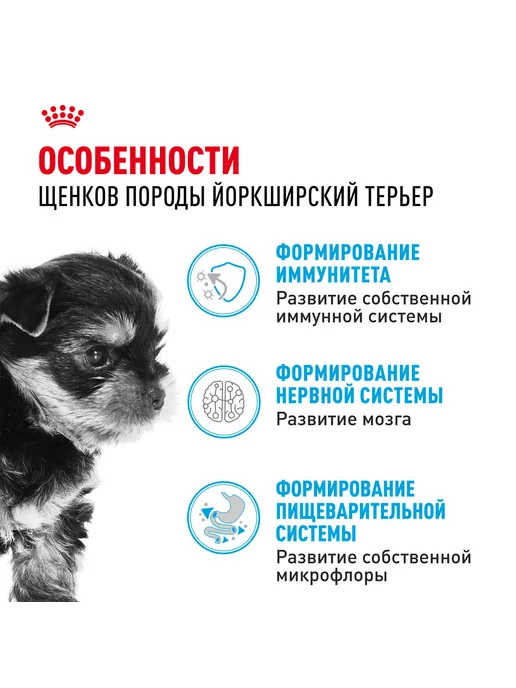 Сухой корм Royal canin Yorkshire Terrier для собак, щенки, 0,5 кг, фото 3