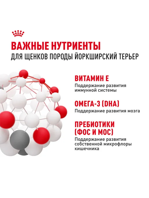 Сухой корм Royal canin Yorkshire Terrier для собак, щенки, 0,5 кг, фото 6