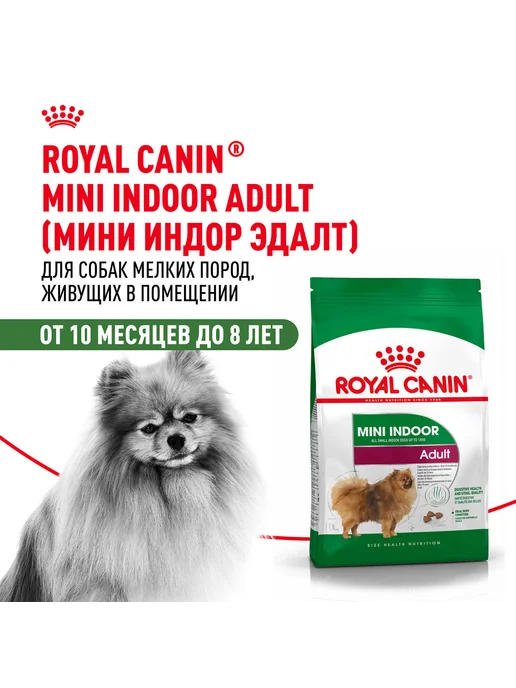 Сухой корм Royal canin Indoor Life для собак, взрослые, мелкие, 0,5 кг, фото 2