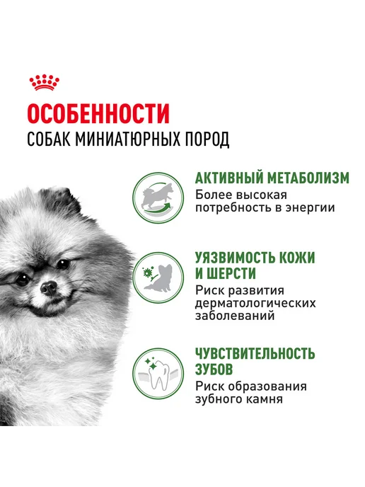 Сухой корм Royal canin Indoor Life для собак, взрослые, мелкие, 0,5 кг, фото 3