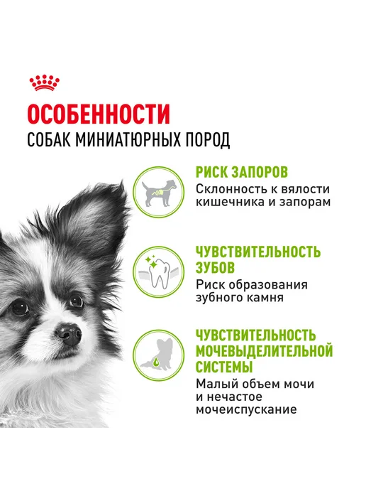Сухой корм Royal canin Икс Смолл для собак, взрослые, мелкие, 0,5 кг, фото 3