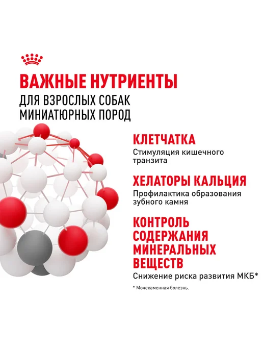 Сухой корм Royal canin Икс Смолл для собак, взрослые, мелкие, 0,5 кг, фото 6