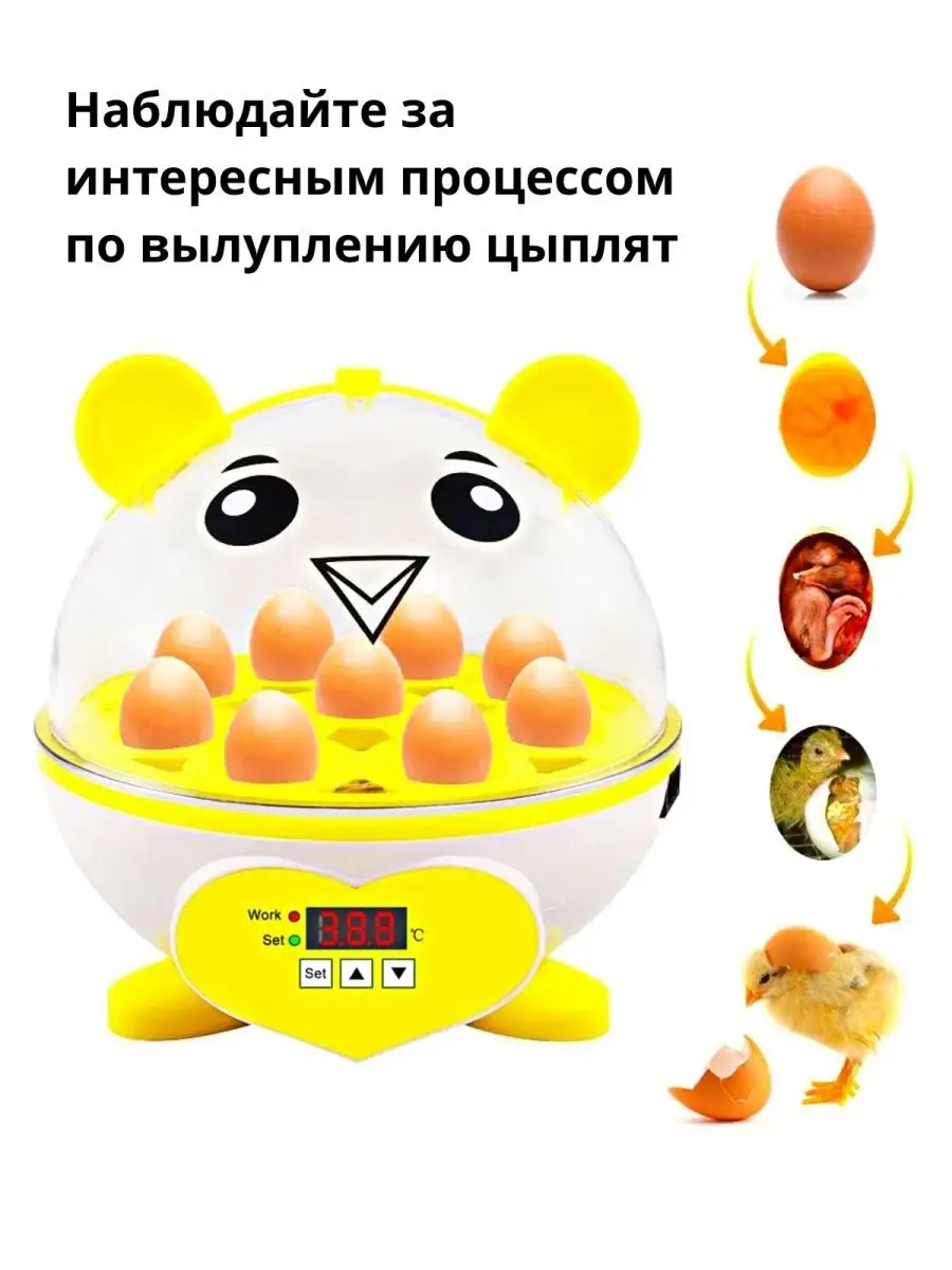 Инкубатор Мини luckysale 143373316 купить за 2 940 ₽ в интернет-магазине  Wildberries