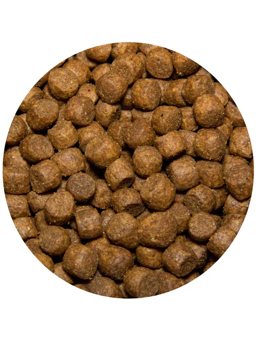 Сухой корм All Dogs Puppies для собак, щенки, говядина, 13 кг, фото 3