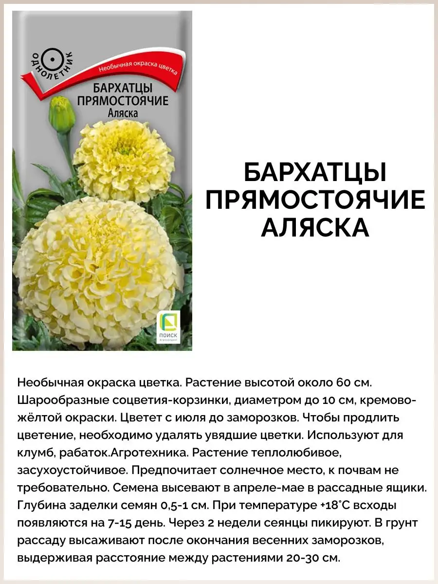 Набор семена цветов бархатцев для сада ПОИСК 143377931 купить за 186 ₽ в  интернет-магазине Wildberries