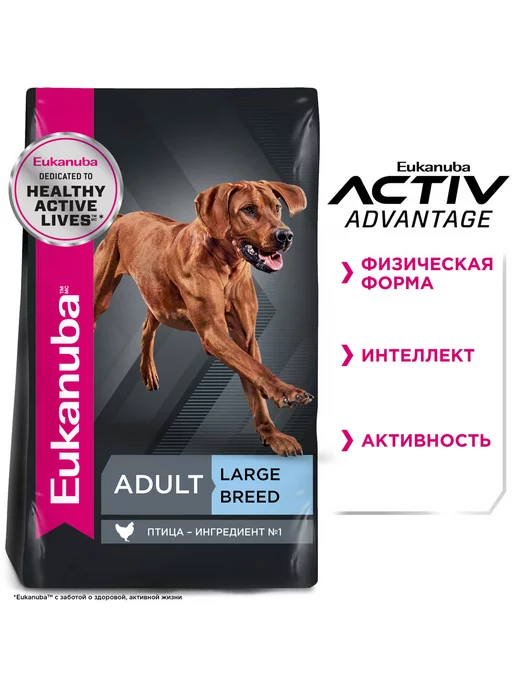 Сухой корм Eukanuba для собак, крупные, 15 кг, фото 4