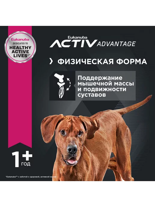 Сухой корм Eukanuba для собак, крупные, 15 кг, фото 5