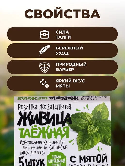 Мед и Конфитюр Резинка жевательная "Живица таежная" с Мятой, 5*0,8г 2шт, 0,8 г, 2 шт, фото 3