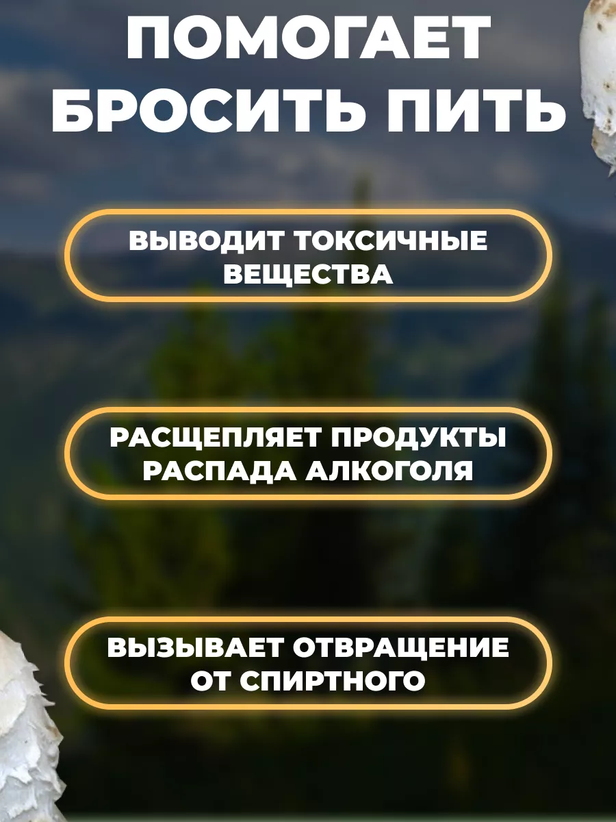 Копринус 60 капс. по 75 мг. пл. банка 2шт Мед и Конфитюр 143393319 купить  за 1 615 ₽ в интернет-магазине Wildberries