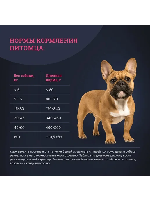 Сухой корм Gina для собак, чувствительное пищеварение, ягненок, 1 кг, фото 8