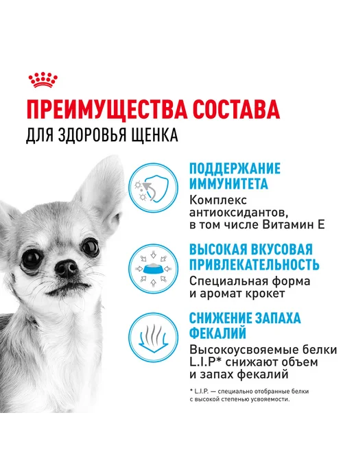 Сухой корм Royal canin Chihuahua Чихуахуа для собак, щенки, 0,5 кг, фото 4