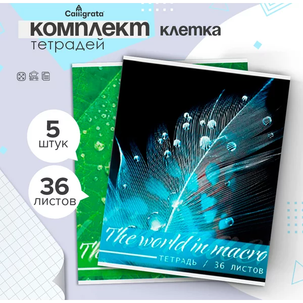 Тетради для школы в клетку