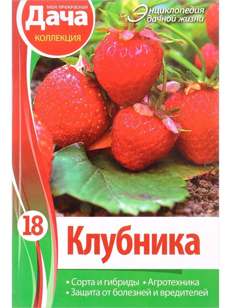 Отзыв вкусную клубнику. Земляника книга. Книга клубничника. Кн клубники.