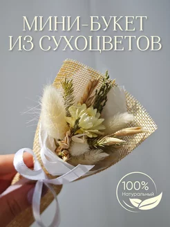 Букет из сухоцветов Little Garden 143591053 купить за 321 ₽ в интернет-магазине Wildberries