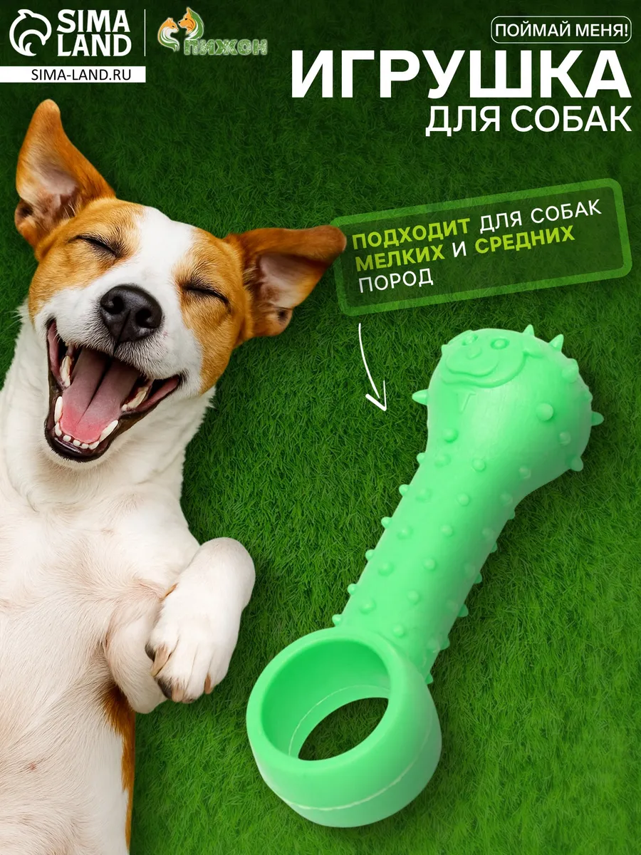 Игрушка дразнилка резиновая для собак