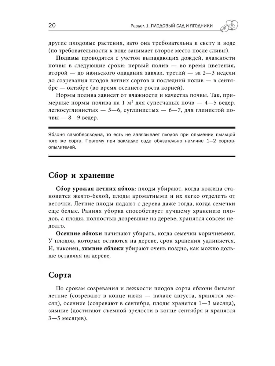 Дачная библия садовода и огородника Эксмо 143592453 купить за 703 ₽ в  интернет-магазине Wildberries