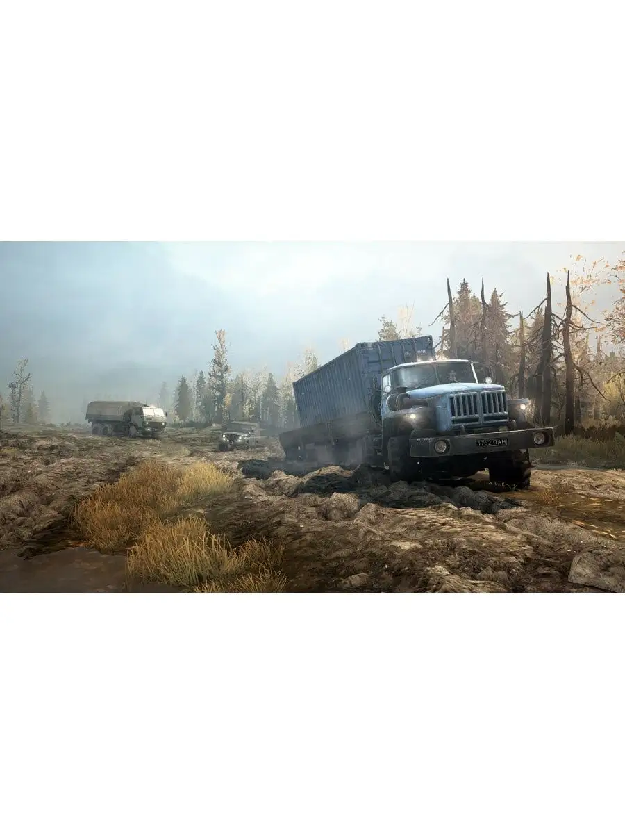 Игра для Switch Spintires MudRunner American Wilds Игра для Switch  143596002 купить за 2 960 ₽ в интернет-магазине Wildberries